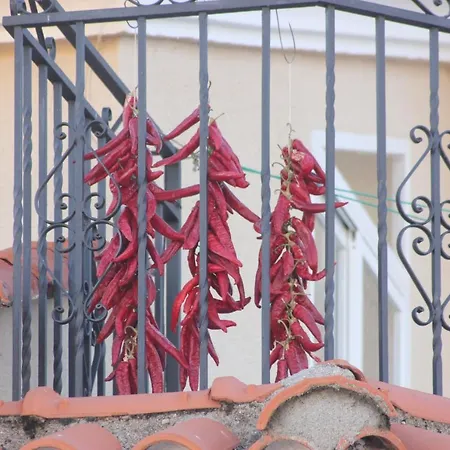 Acogedor En El Valle Del Jerte 1 Piornal