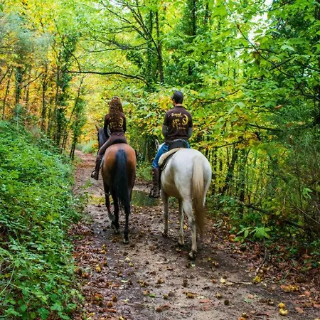 Acogedor En El Valle Del Jerte 1 Appartement