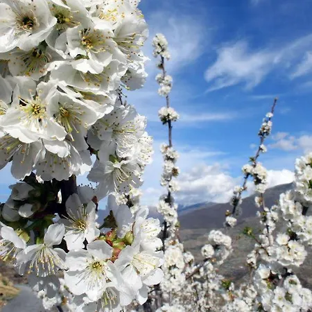 Acogedor En El Valle Del Jerte 1 *