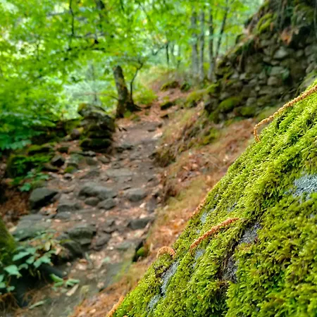 Appartement Acogedor En El Valle Del Jerte 1 Piornal