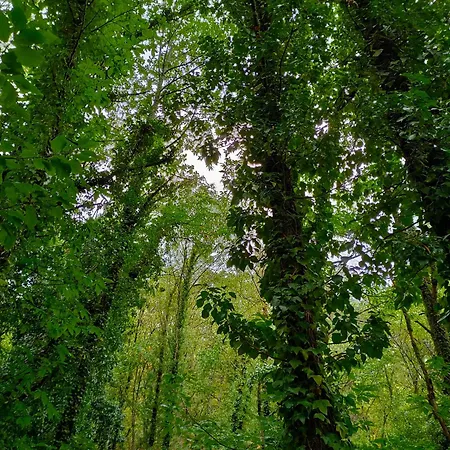 Appartement Acogedor En El Valle Del Jerte 1 *