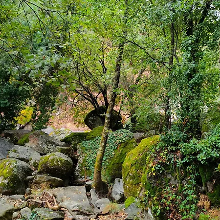 Acogedor En El Valle Del Jerte 1