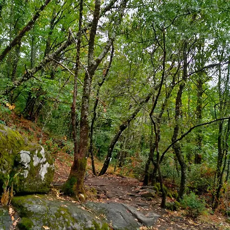 Acogedor En El Valle Del Jerte 1 *