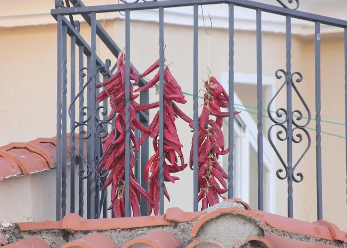 Acogedor En El Valle Del Jerte 1 Piornal