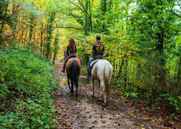Acogedor En El Valle Del Jerte 1 Appartement
