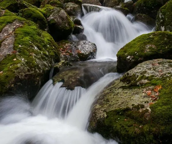 Acogedor En El Valle Del Jerte 1 Piornal