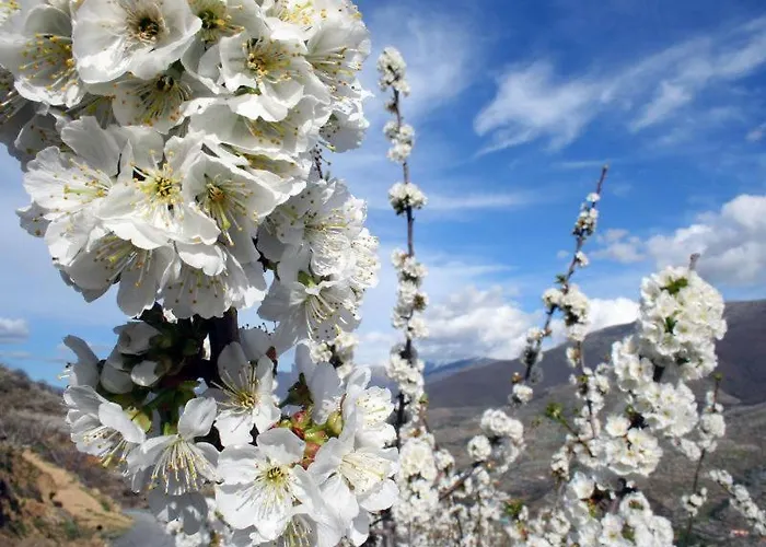 Acogedor En El Valle Del Jerte 1 *