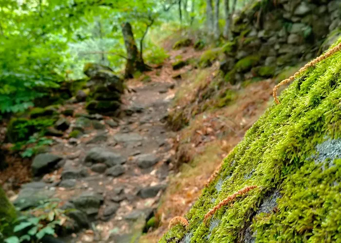 Appartement Acogedor En El Valle Del Jerte 1 Piornal