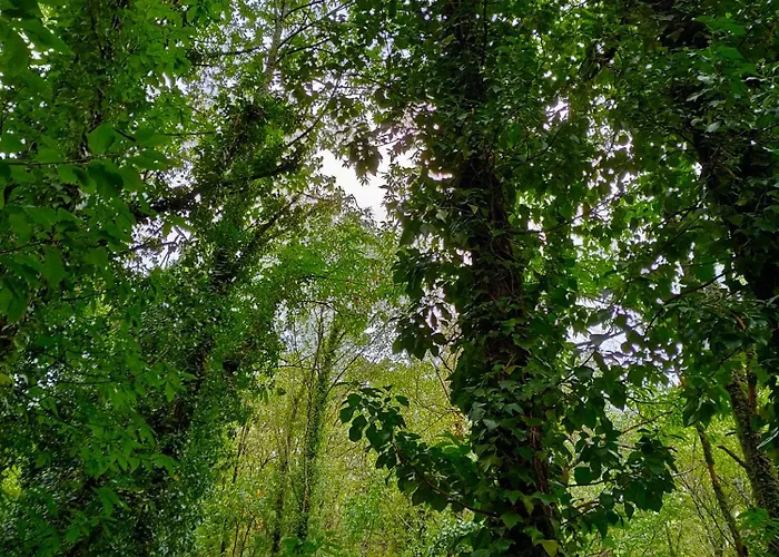 Appartement Acogedor En El Valle Del Jerte 1 *