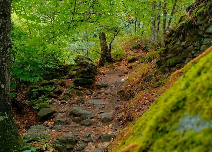 Acogedor En El Valle Del Jerte 1 * Piornal