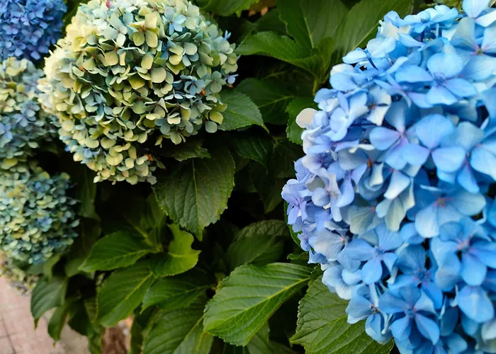 Acogedor En El Valle Del Jerte 1 Appartement