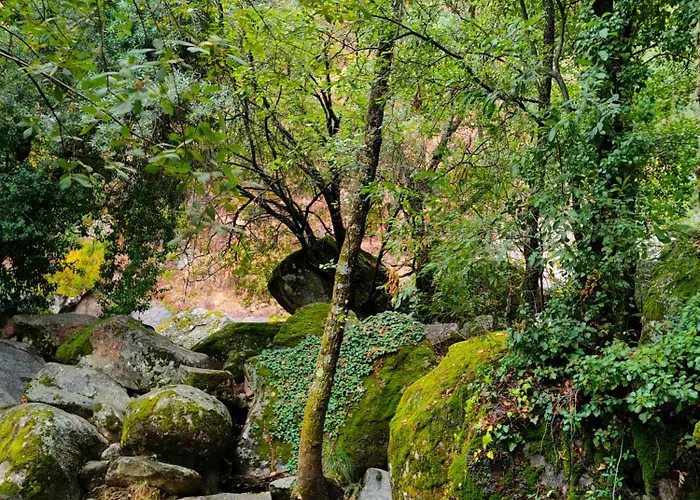 Acogedor En El Valle Del Jerte 1