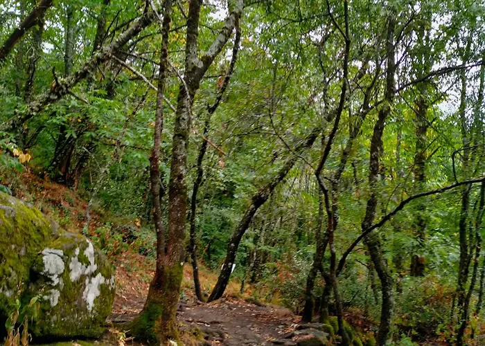 Acogedor En El Valle Del Jerte 1 *